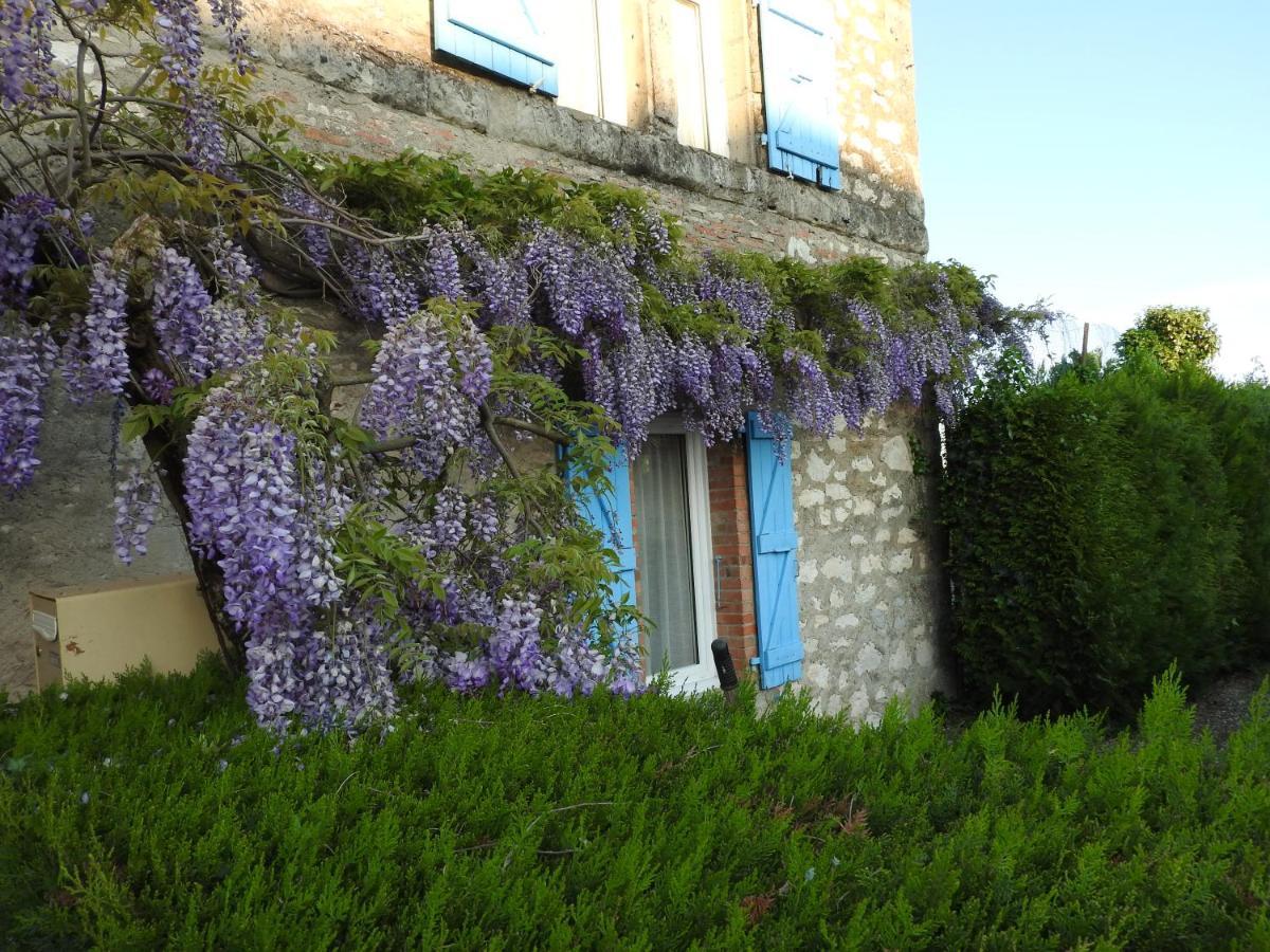 Chambres d'Hôtes LA DAME FINES Puybegon Extérieur photo